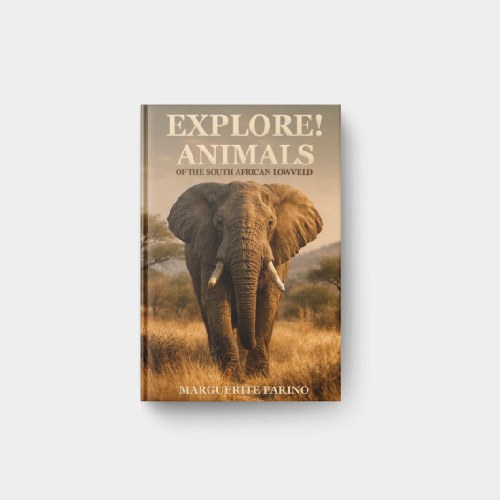 Explore! Animals Of The South African Lowveld